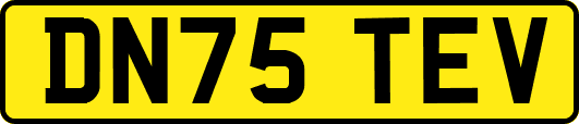 DN75TEV