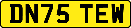 DN75TEW