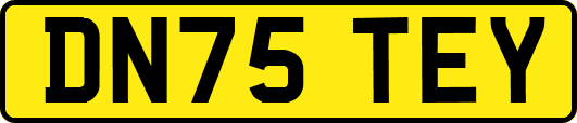 DN75TEY