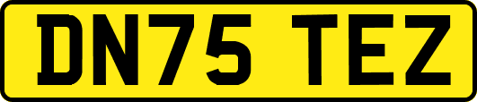 DN75TEZ