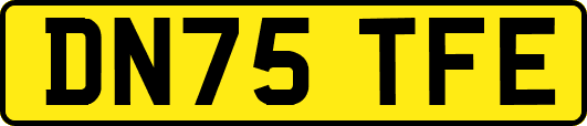DN75TFE