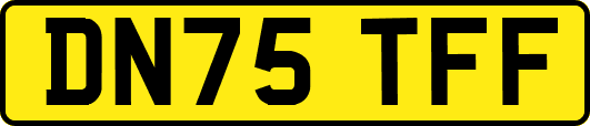 DN75TFF