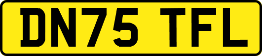 DN75TFL