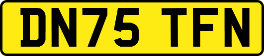 DN75TFN