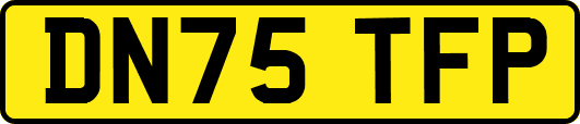 DN75TFP