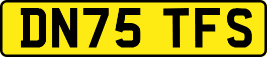 DN75TFS