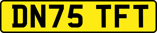 DN75TFT