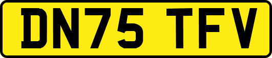 DN75TFV