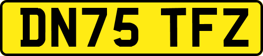 DN75TFZ