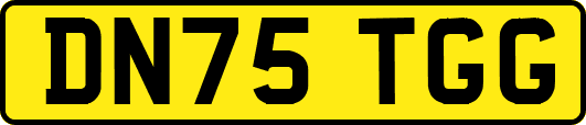 DN75TGG