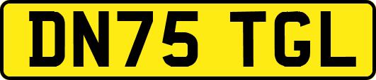 DN75TGL