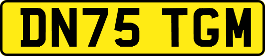DN75TGM