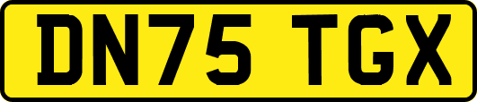 DN75TGX
