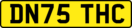 DN75THC