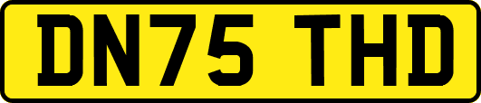 DN75THD