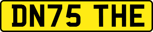 DN75THE
