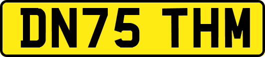 DN75THM