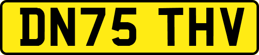 DN75THV