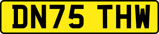 DN75THW