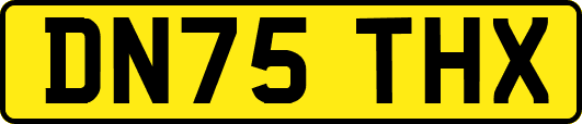 DN75THX