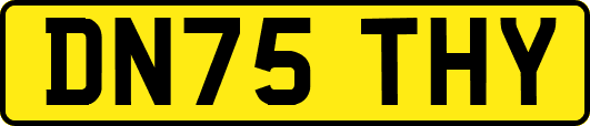 DN75THY