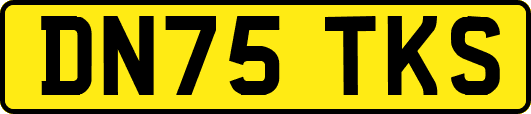 DN75TKS