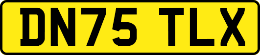 DN75TLX
