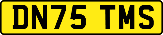 DN75TMS