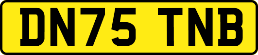 DN75TNB
