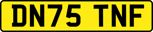 DN75TNF