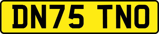 DN75TNO