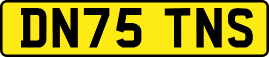 DN75TNS