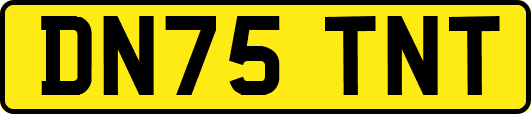 DN75TNT