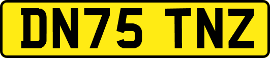 DN75TNZ