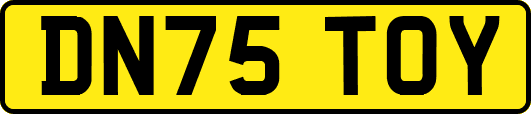 DN75TOY