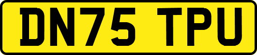 DN75TPU