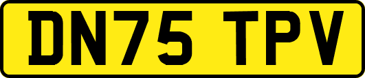DN75TPV