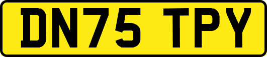 DN75TPY
