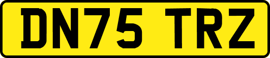 DN75TRZ