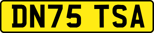 DN75TSA