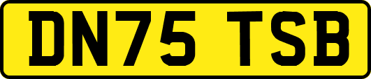 DN75TSB