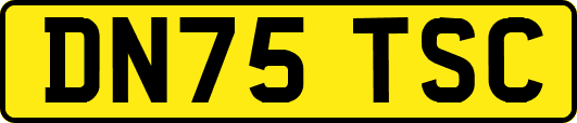 DN75TSC