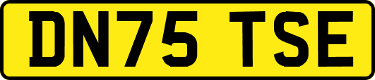 DN75TSE