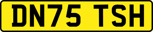 DN75TSH