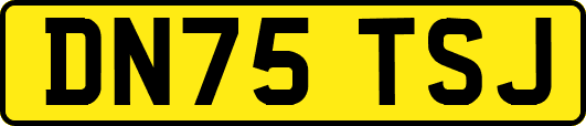 DN75TSJ