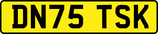 DN75TSK