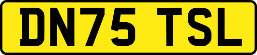DN75TSL