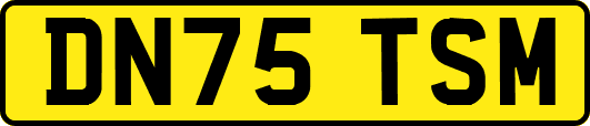 DN75TSM