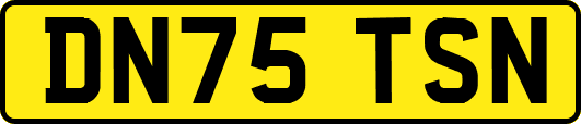 DN75TSN