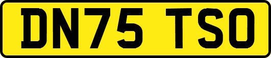 DN75TSO